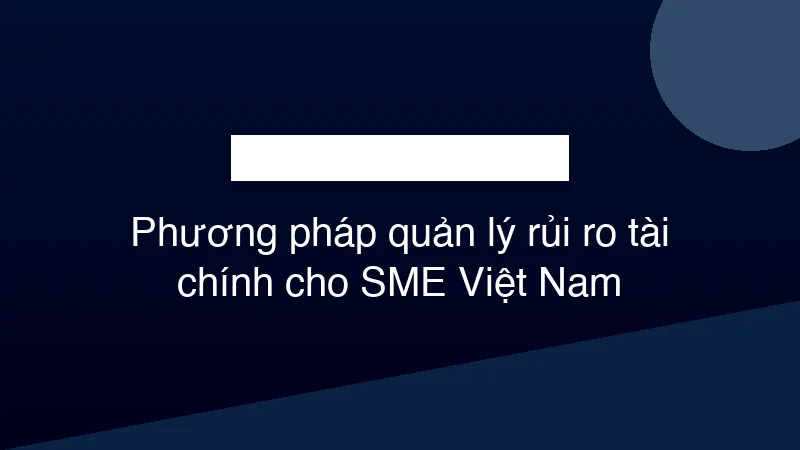 Hình ảnh minh họa Phương pháp quản lý rủi ro tài chính cho SME Việt Nam